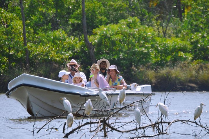 Muthurajawela Bird Watching Boat Tour - Photo 1 of 12